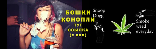 Альфа ПВП Кулебаки